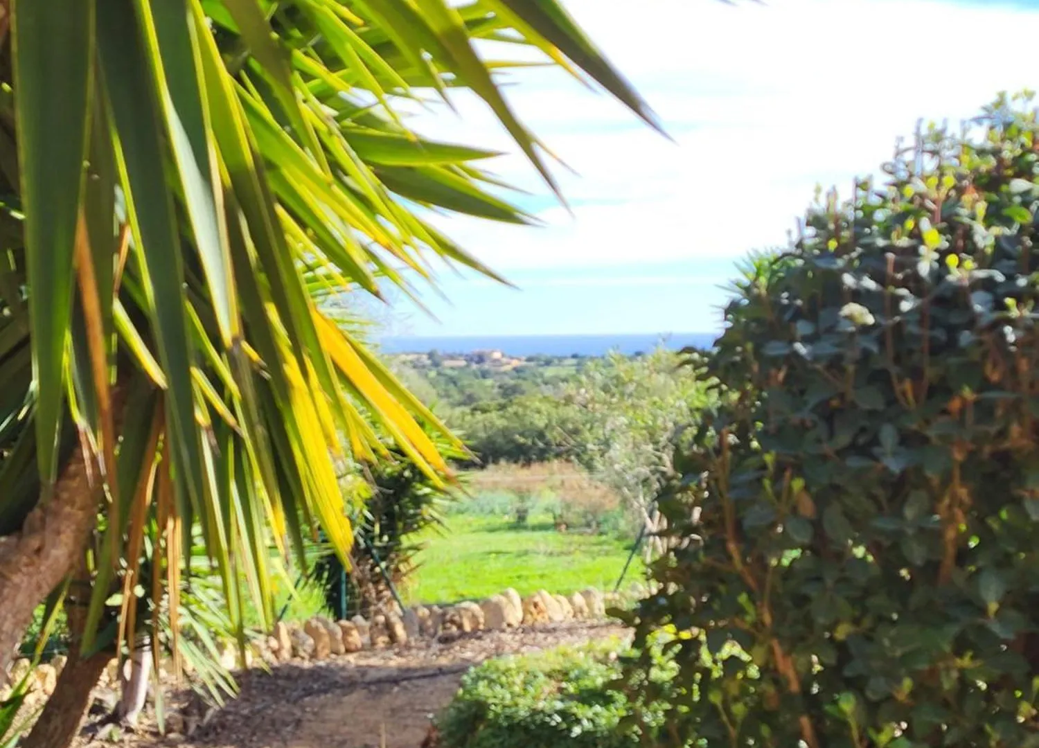 Casa En Cala Varques Vacation Permit Manacor  0*, Manacor (Mallorca) Spain